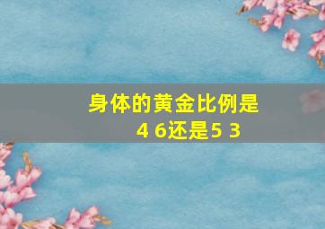 身体的黄金比例是4 6还是5 3